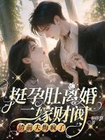 半糖去冰科技北京有限公司怎么样