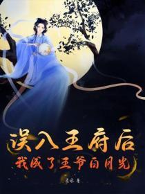 半糖去冰这家公司是做什么的