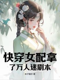 半糖去冰科技公司怎样