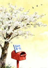 憧憬成为魔法少女百科